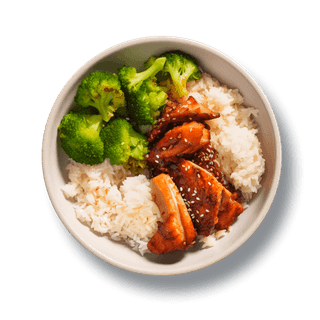 Japanese Meals