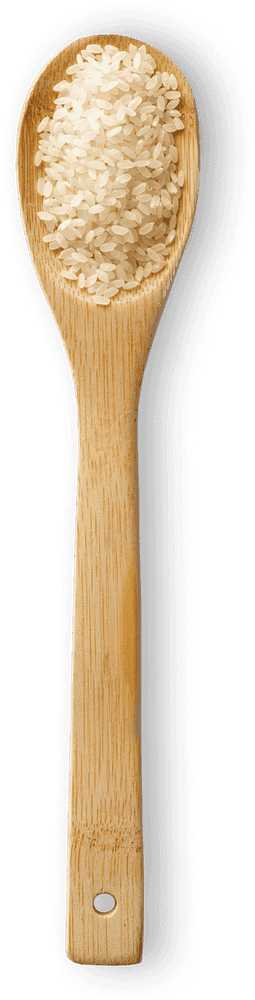 Medium Grain/Calrose macro photo